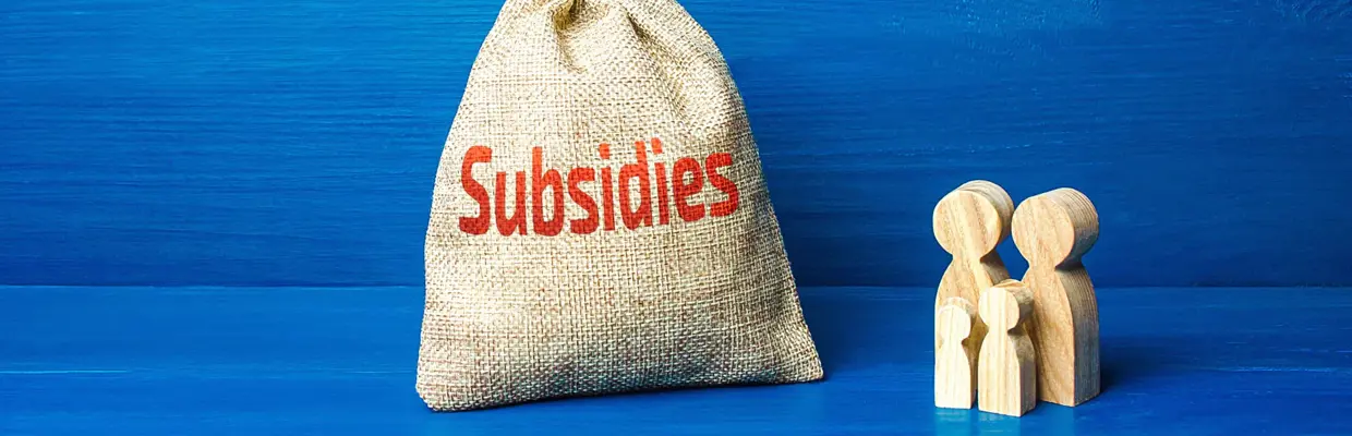 Istock 1304057739 Subsidie 1880