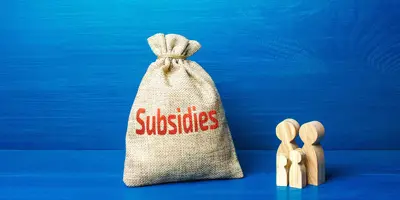 Istock 1304057739 Subsidie 1880